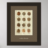 Coffee Beans - poster (Devant)