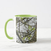 Coffee Coffee Mok Cute met Lime Green Handle (Links)