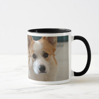 Coffee Corgi-Mok Mok