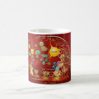 Coffee Mok - Coag Cascade