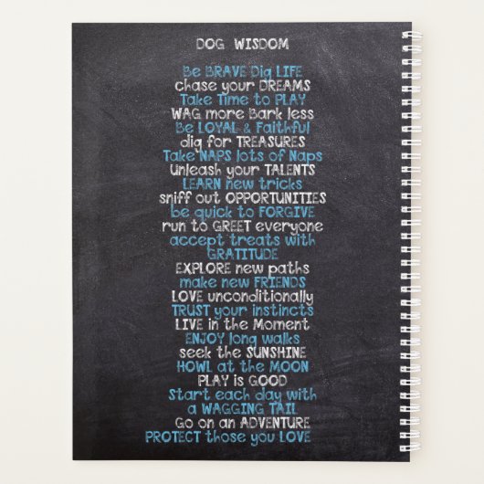 Coffee Naps & Dogs (Dos)