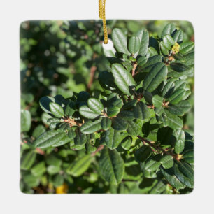 Coffeeberry Keramisch Ornament