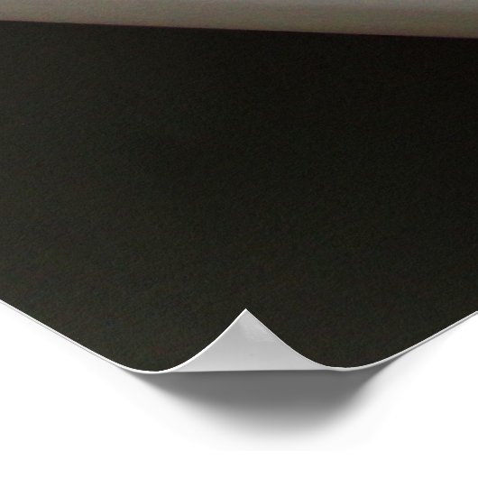 Coffered plafondplafond poster (Hoek)