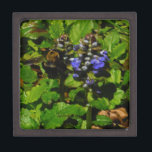 Coffret A Bijoux Baume d'abeille pourpre et bourdon<br><div class="desc">Fleur de baume d'abeille mauve,  fleurs et bourdons jaunes et noirs Photo de Sandy Closs prise au lac Arrowhead violet,  "baume d'abeille",  fleur,  fleurs,  fleurs,  fleurs,  printemps,  cerise,  cerises,  jardin,  mariage,  mariages, </div>