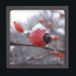 Coffret A Bijoux Berries d'hiver<br><div class="desc">berry winter season christmas snow frost frost enee bush outside</div>