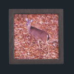 Coffret A Bijoux Deer in the leaves<br><div class="desc">Cerf aux feuille A Deer : Personnalisez avec le nom Photo de Sandy Closs,  prise au lac Arrowhead Ga. "amoureux des animaux" "cerf à queue blanche",  cerf,  "chasseur de cerfs",  "amateur de cerfs",  "chasseur",  "amateur de cerfs", " amateur de cerfs",  "amateur de cerfs",  or rouge vert,  Noël</div>