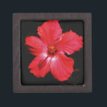 Coffret A Bijoux Hibiscus rouge<br><div class="desc">Hibiscus rouge L'Hibiscus à fleurs est un plante à fleurs de la famille des Malvaceae. Il est assez grand, contenant plusieurs centaines d'espèces indigènes aux régions tempérées chaudes, subtropicales et tropicales à travers le monde. Envoyez un message à sandycloss@gmail.com ou sandycloss.smugmug.com si vous souhaitez voir l'une de ces conceptions sur...</div>