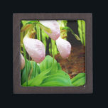 Coffret A Bijoux Pink Lady Slipper sauvage orchidée<br><div class="desc">Pink Lady Slipper sauvage orchidée Photo de Sandy Closs,  prise au lac Arrowhead Ga. Forme de glisse rose pâle avec veines roses foncées. Trouvé sauvage dans les bois,  sous quelques pins fleurs roses orchidées fleurs florales florales mariage nature sympathie printemps rose</div>