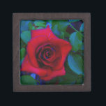 Coffret A Bijoux Roses rouges aux tons bleus<br><div class="desc">Roses rouges aux tons bleus Rose rouge Jolie rose rouge arrière - plan lu pour tumulter avec vous texte. Idéal pour tout amoureux rose. Photo de Sandy Closs,  prise au lac Arrowhead. "rose rouge""roses rouges""rose rose""roses roses""mariages""cadeau d'amour""fleur rouge""fleurs rouges""fleurs rouges" rouge bleu rose "cadeaux aux roses"</div>