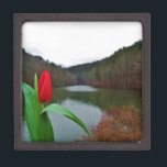 Coffret A Bijoux Tulipe rouge printanière au lac Arrowhead<br><div class="desc">Photo d'une tulipe rouge vif près des rives du lac Arrowhead,  prise par Sandy Closs.</div>