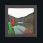 Coffret A Bijoux Tulipe rouge printanière au lac Arrowhead<br><div class="desc">Photo d'une tulipe rouge vif près des rives du lac Arrowhead,  prise par Sandy Closs.</div>