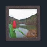 Coffret A Bijoux Tulipe rouge printanière au lac Arrowhead<br><div class="desc">Photo d'une tulipe rouge vif près des rives du lac Arrowhead,  prise par Sandy Closs.</div>