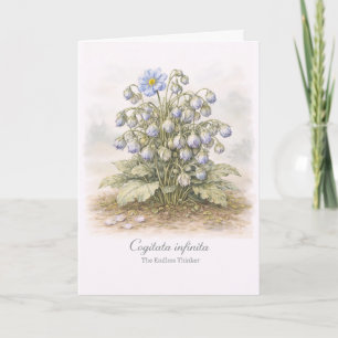 Cogitata infinita - De Eindeloze Denker Botanisch Kaart