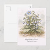 Cogitata infinita - The Endless Thinker Botanical Briefkaart (Voorkant / Achterkant)
