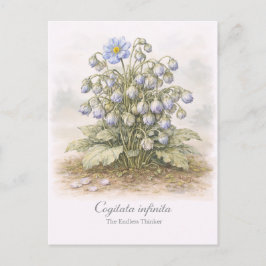 Cogitata infinita - The Endless Thinker Botanical Briefkaart