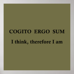 cogito ergo sum, latijns zin poster