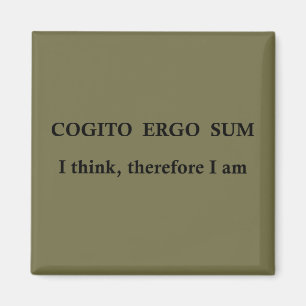 Cogito ergo sum magneet