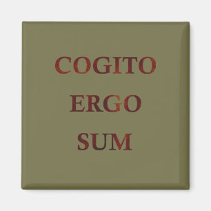Cogito ergo sum magneet