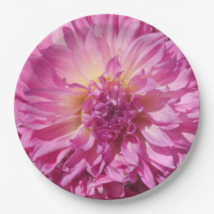 CogNIET Papieren Bordje