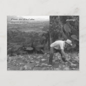 Cohiba Bahikes? Briefkaart (Achterkant)