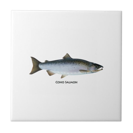 Coho Salmon Logo (titel) Tegeltje (Voorkant)