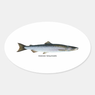 Coho Salmon Ovale Sticker