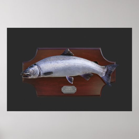 Coho Salmon Trophy Display Plaque Poster (Voorkant)