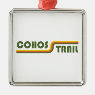 Cohos Trail New Hampshire Metalen Ornament