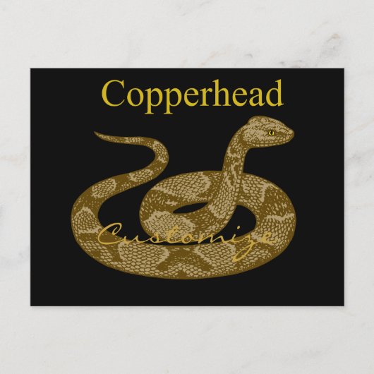 Coiled Copperhead Snake Thunder_Cove Briefkaart (Voorkant)