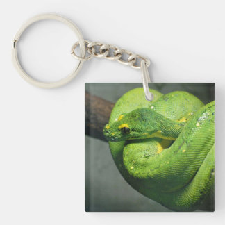Coiled Green Tree Snake Sleutelhanger