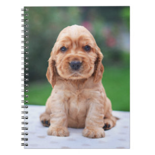 Coker Spaniel Puppy Notitieboek