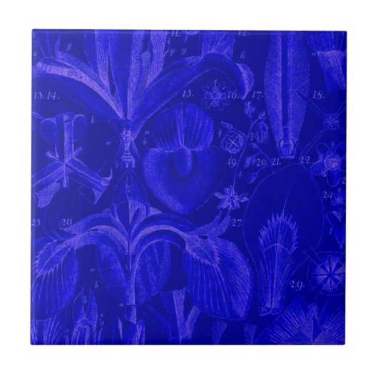 Colbalt Blue Tile Tegeltje (Voorkant)