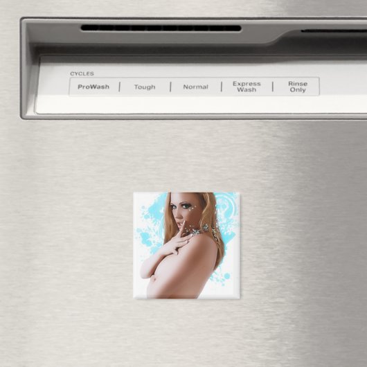 cold magnet (In Situ (Lave-vaisselle))