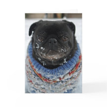 Cold Puggy in het Snow Birthday Wenskaart
