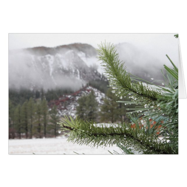 Cold Winter's Morn (Voorkant Horizontaal)