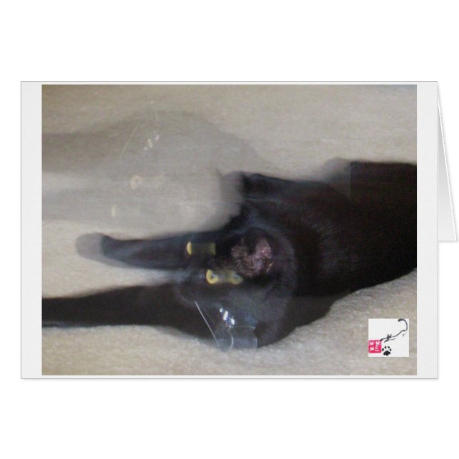 Cole - Beweging (Voorkant Horizontaal)