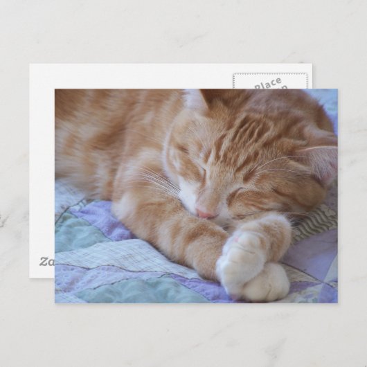 Cole Briefkaart (Voorkant / Achterkant)