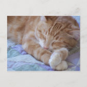 Cole Briefkaart (Voorkant)