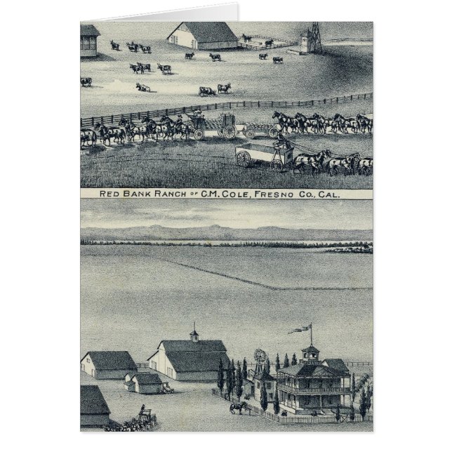 Cole Ranches (Devant)