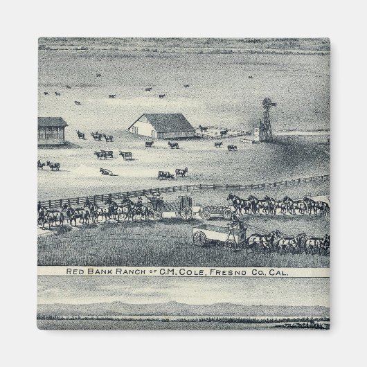 Cole Ranches Magneet (Voorkant)