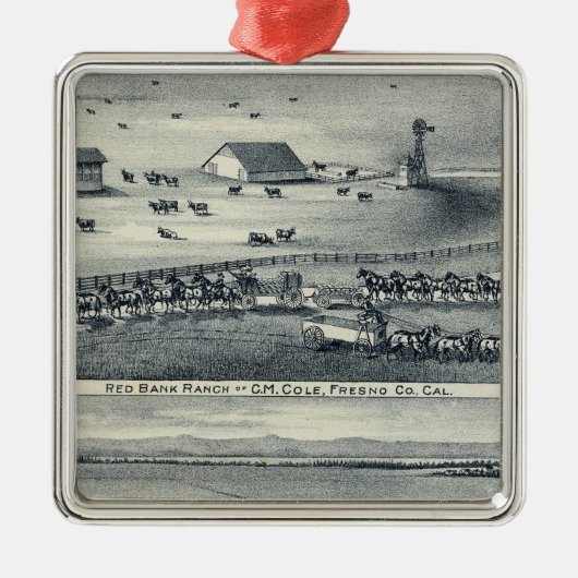 Cole Ranches Metalen Ornament (Voorkant)