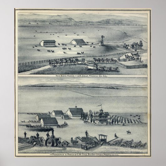 Cole Ranches Poster (Voorkant)