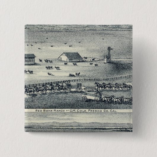 Cole Ranches Vierkante Button 5,1 Cm (Voorkant)
