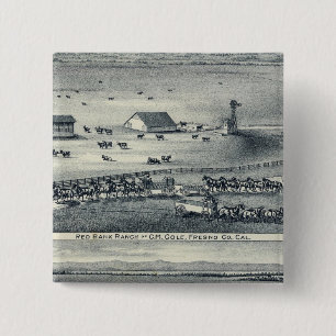 Cole Ranches Vierkante Button 5,1 Cm