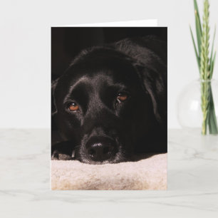 Cole wenskaart kaart