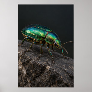 Coléoptère Vert Métallique sur Art Mural de Roche 