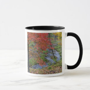 Coles Creek omzoomd met herfst esdoornbomen nabij Mok