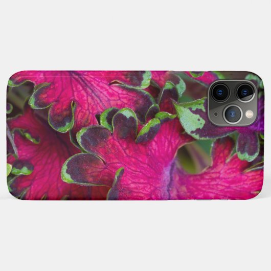 Coleus Macro Case-Mate iPhone Case (Achterkant (horizontaal))