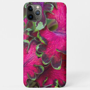 Coleus Macro iPhone 11 Pro Max Hoesje