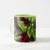 Coléus Mug (Devant gauche)
